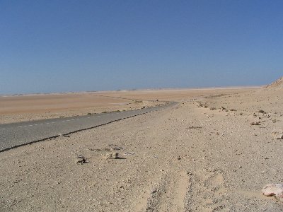 Road In Desert